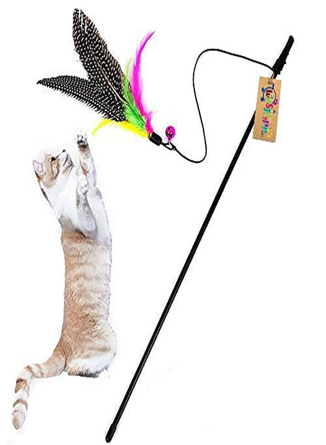 Western Era 48 cm Cat Playful Feather Toy Teaser Stick for Play and Training for Cat, Kitten, Puppy (1 Piece) (Random Color) - Image 1